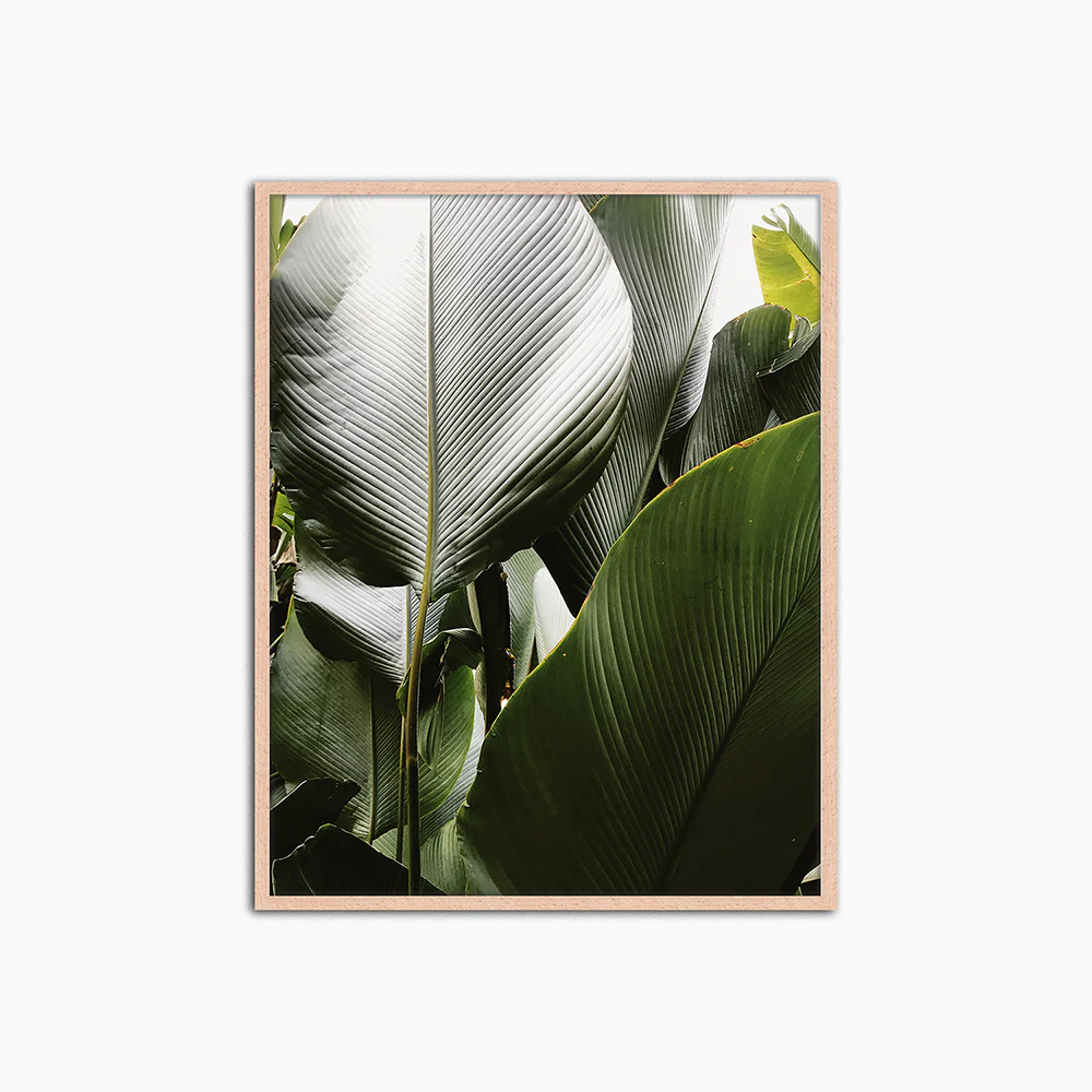 Productafbeelding 1